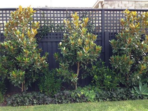 Enhancing Your Fence with Beautiful Landscaping