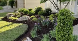 front yard landscape