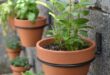 garden planters pots