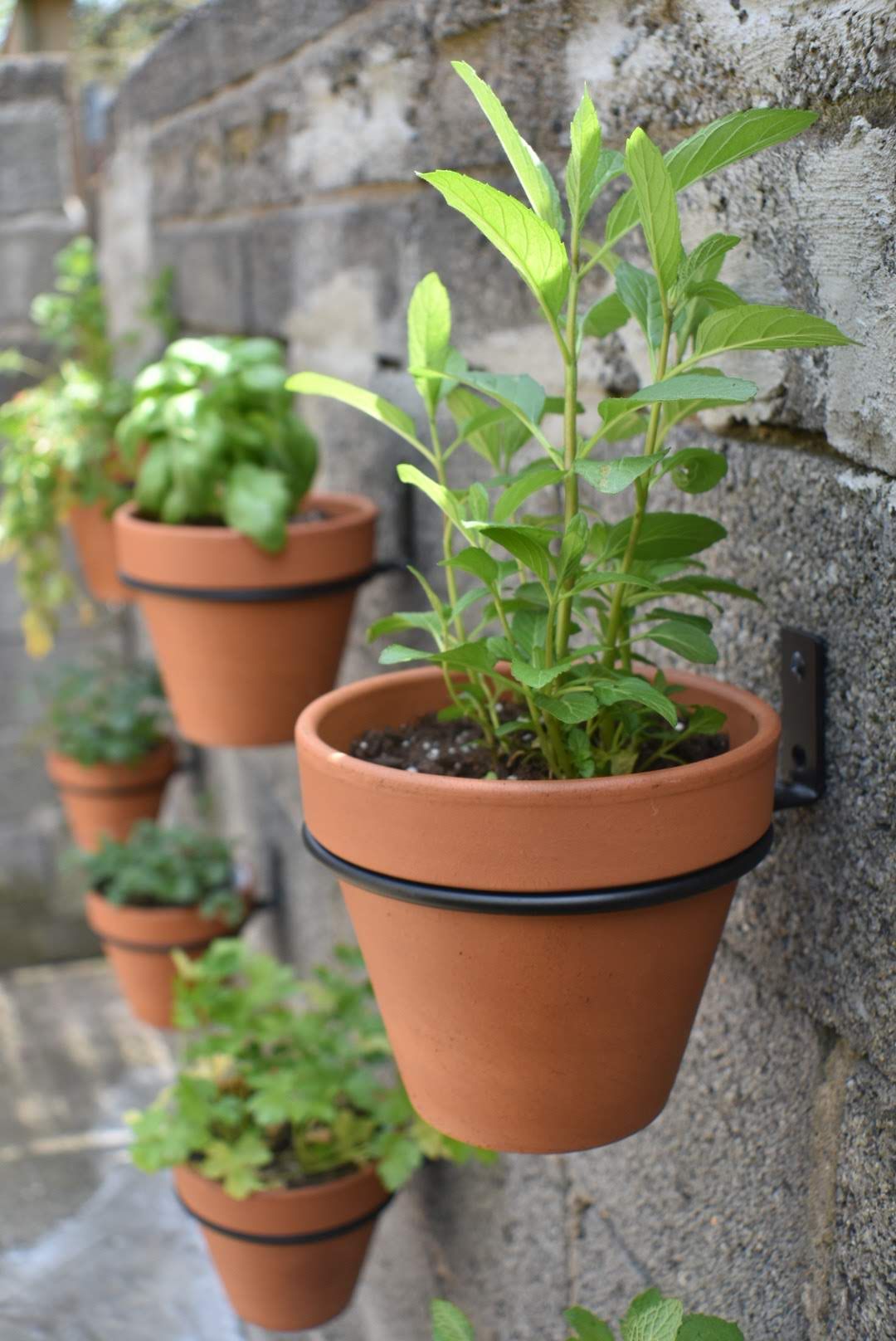 Enhancing Your Garden With Stylish Planters and Pots