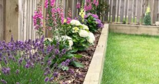 raised flower beds along fence