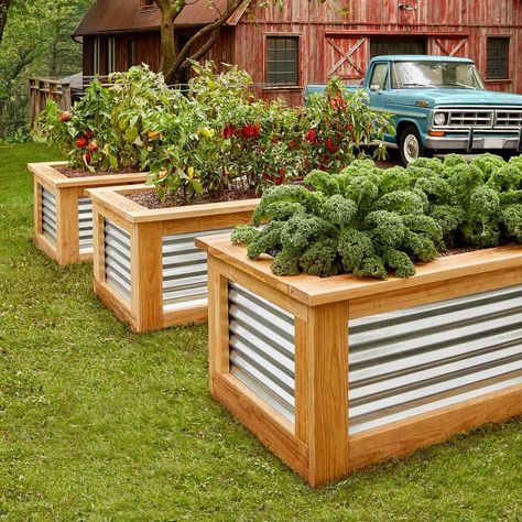 Enhancing Your Garden with Galvanized Raised Beds