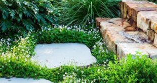 garden design with stones