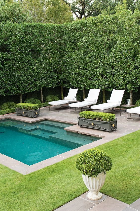 Enhancing Your Outdoor Oasis: Transforming Your Backyard Pool with Beautiful Landscaping