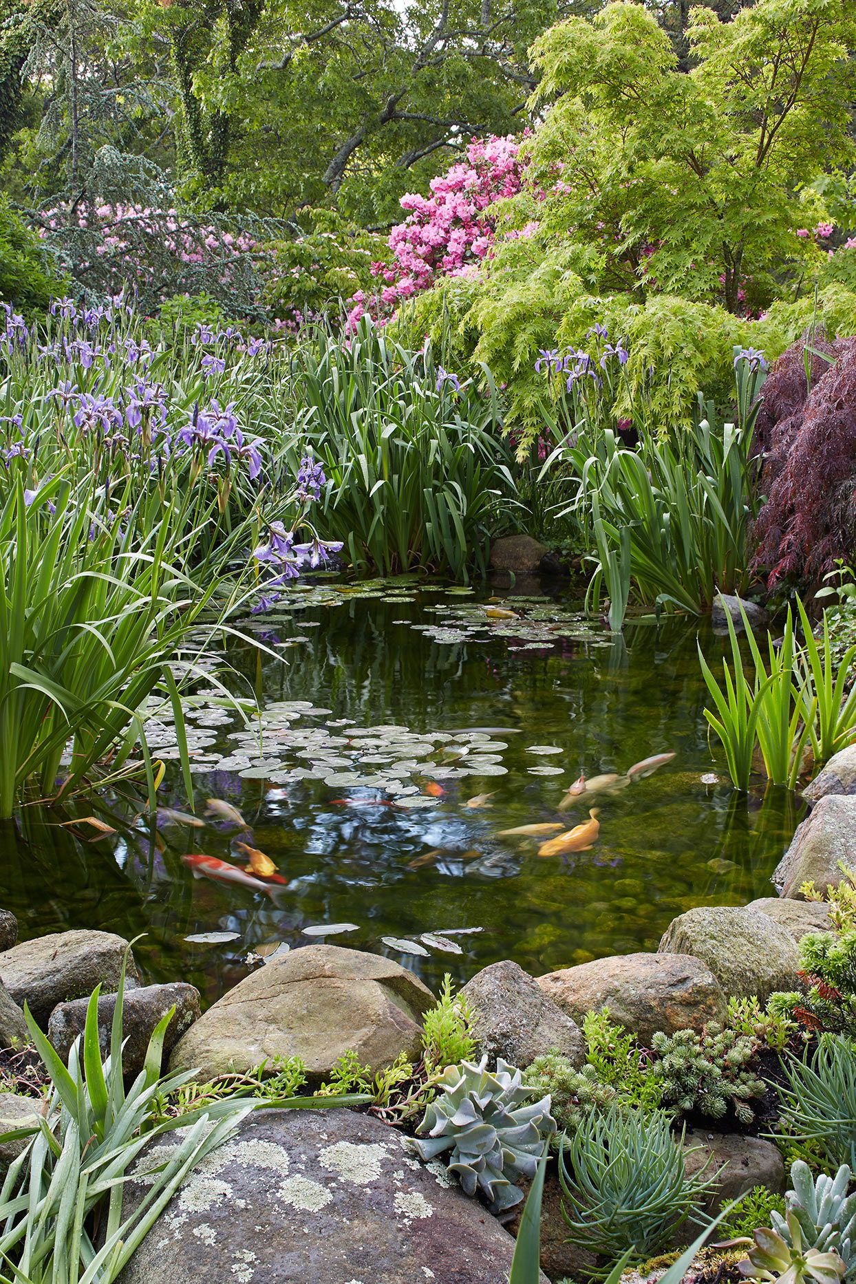 Enhancing Your Outdoor Space with Beautiful Garden Landscaping