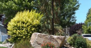 landscaping with large rocks
