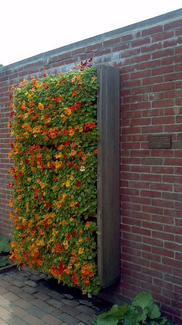 Enhancing Your Outdoor Space with Stunning Garden Walls