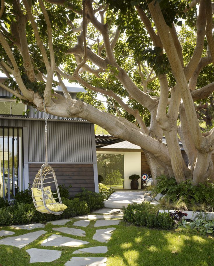 Enhancing the Beauty of Your Yard: Landscaping Solutions for Shady Areas