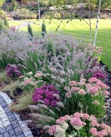 Enhancing your Home’s Curb Appeal with Thoughtful Landscaping
