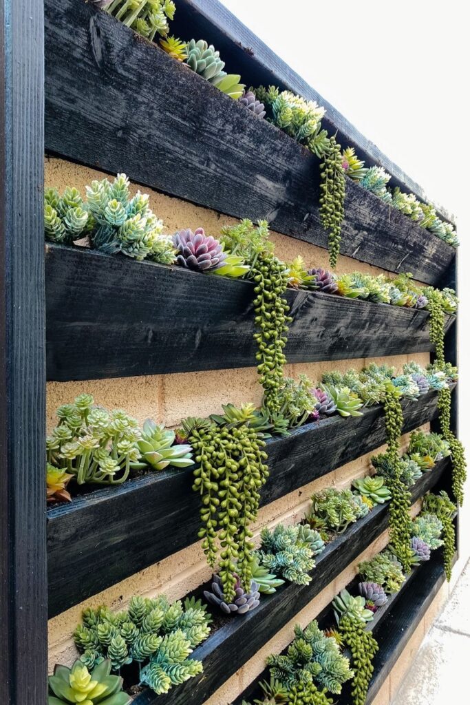 garden planter design