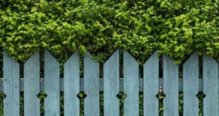 garden fencing panels