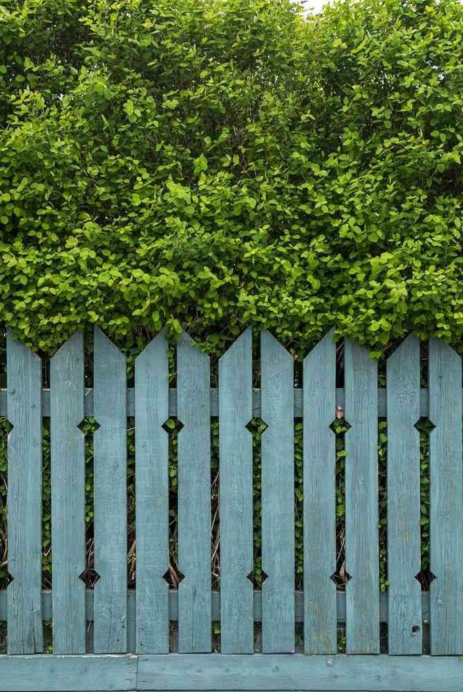Exploring the Beauty and Functionality of Garden Fencing Panels