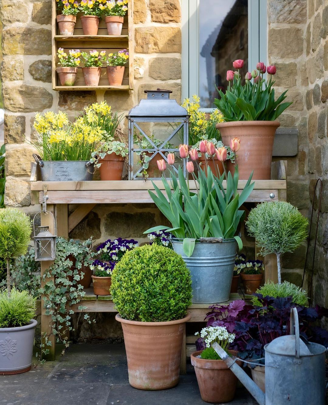 Exploring the Variety of Garden Pots: A Guide to Choosing the Perfect Container for Your Plants