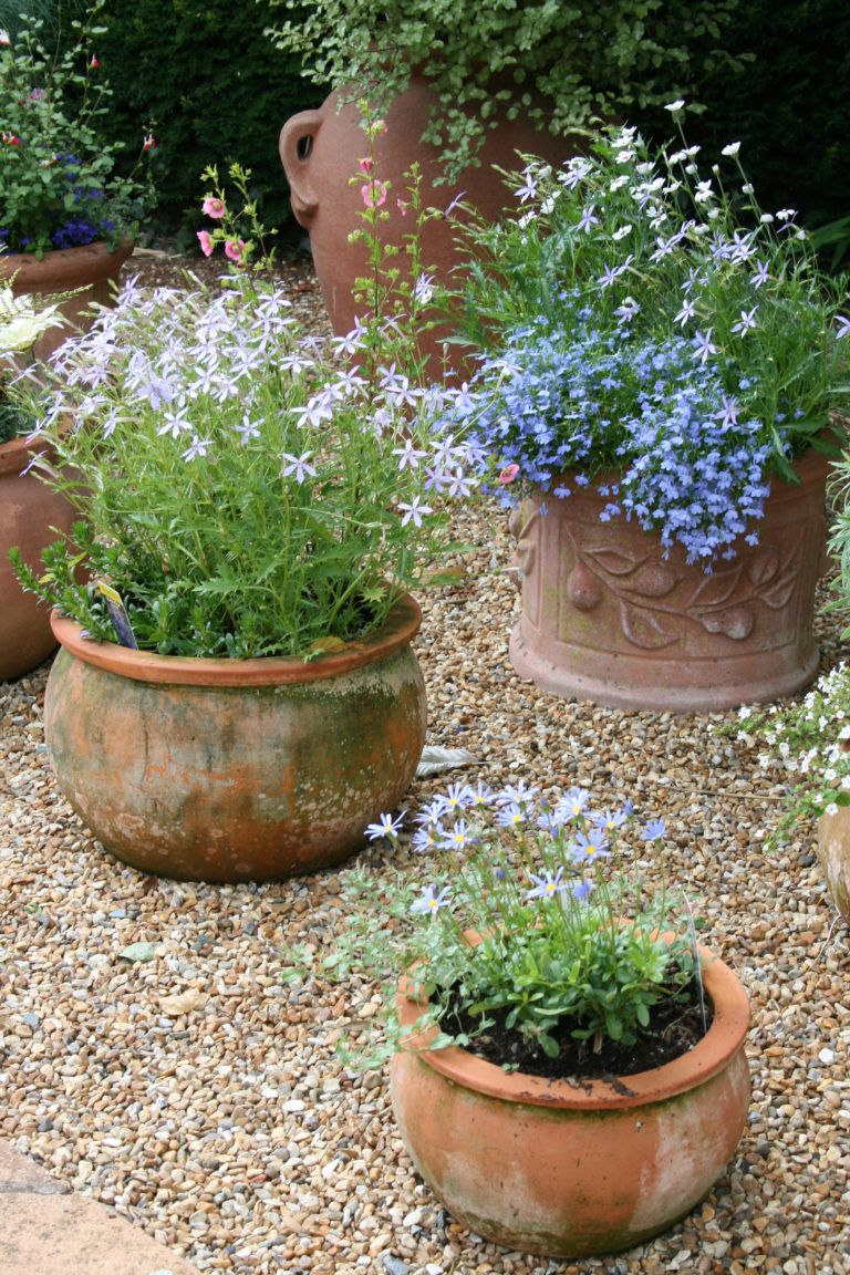 garden pots