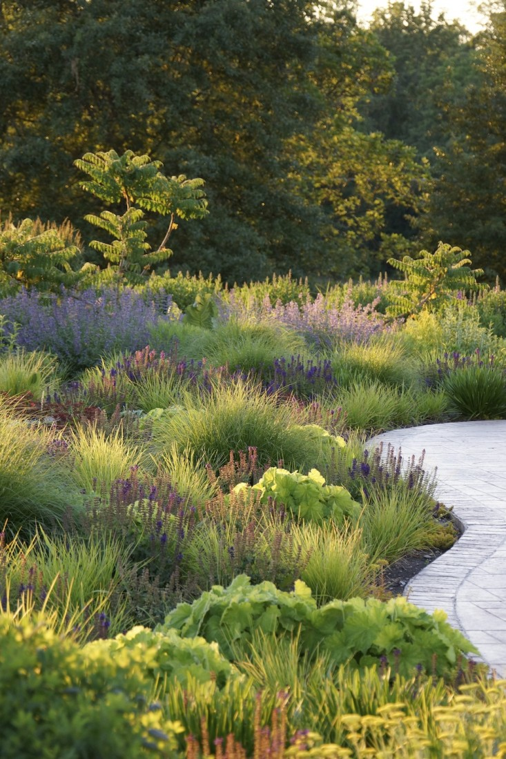 Find Your Garden Inspiration: Cultivating Creativity in the Outdoors
