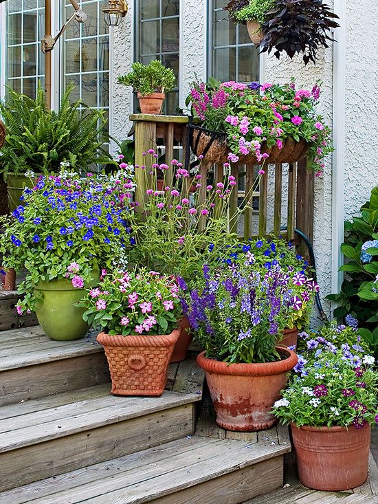 Growing Plants in Small Spaces: A Guide to Container Gardening