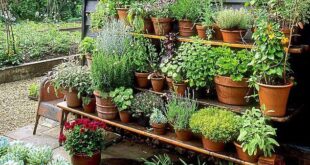 herb gardens