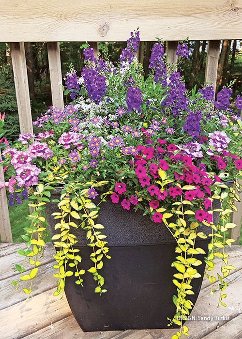 Growing a Beautiful Garden in Small Spaces: The Art of Container Gardening