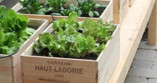 planter box vegetable garden