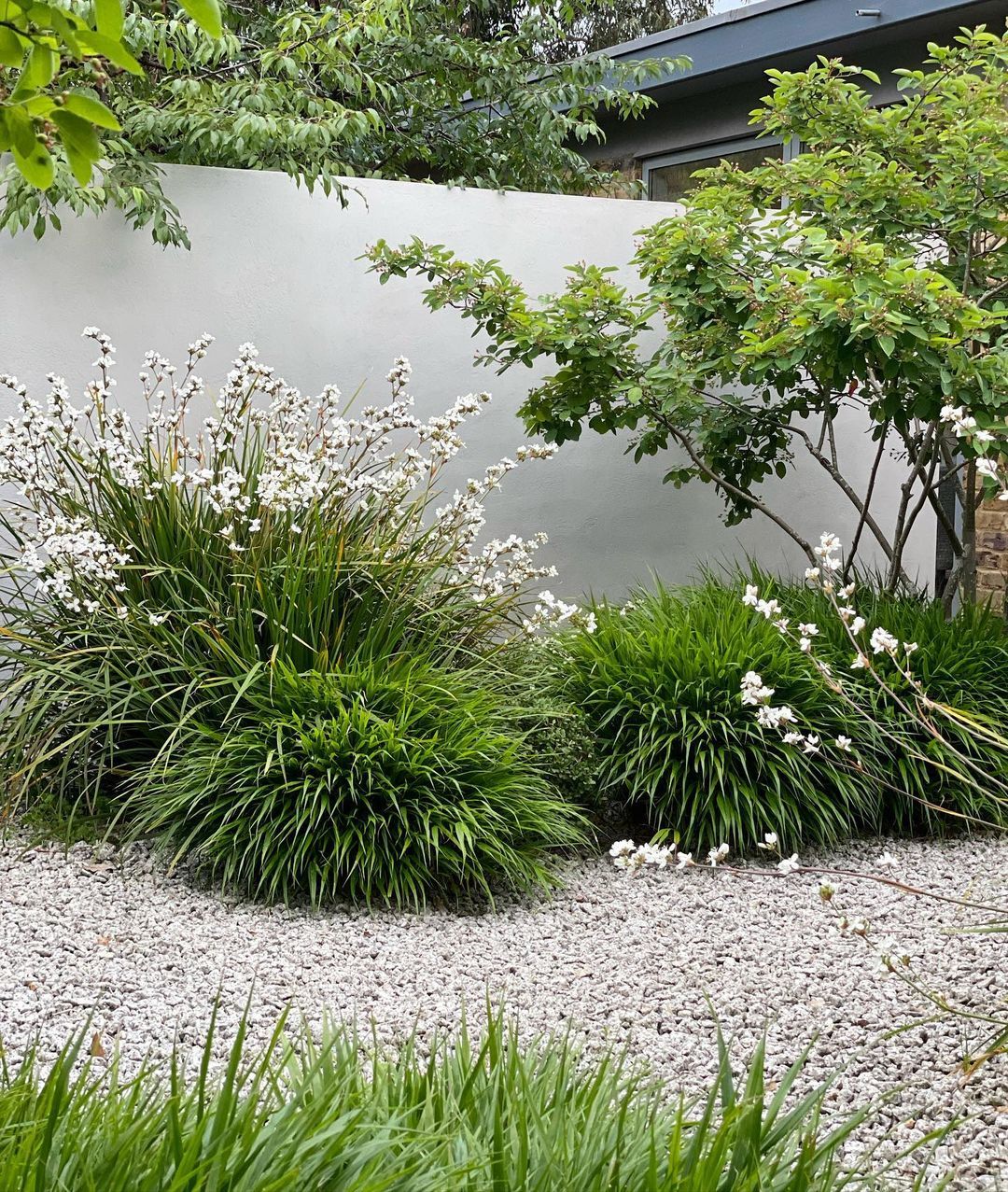 How to Create a Beautiful Front Garden Layout for Your Home
