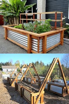 How to Create a Lush Vegetable Garden in Planter Boxes
