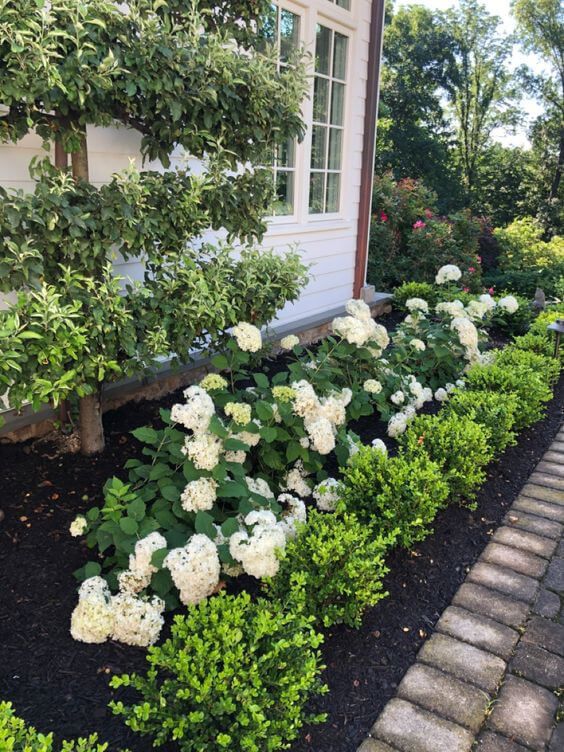 How to Successfully Landscape Your Hydrangeas