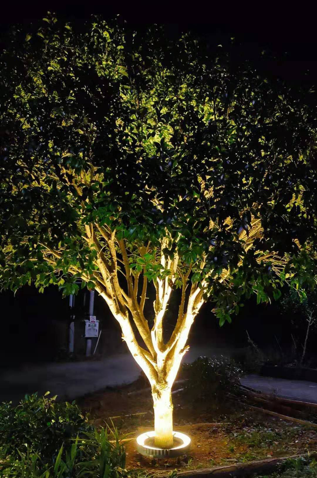 Illuminate Your Outdoor Space: The Magic of Landscaping Lights