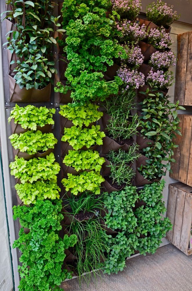 Innovative Ways to Create Vertical Gardens for Small Spaces