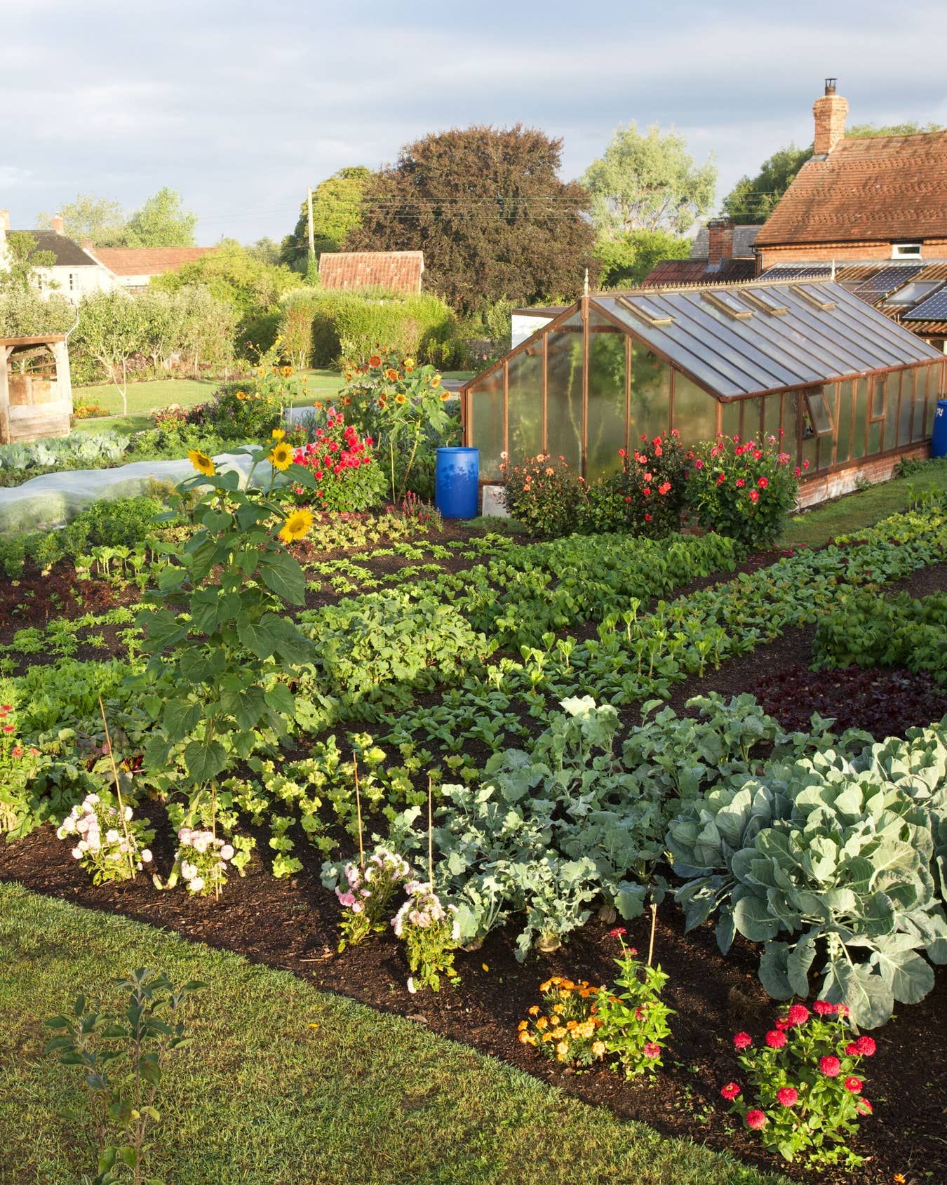 Innovative Ways to Create a Lush Vegetable Garden