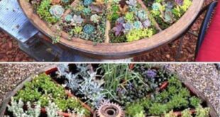 garden ideas with flowers