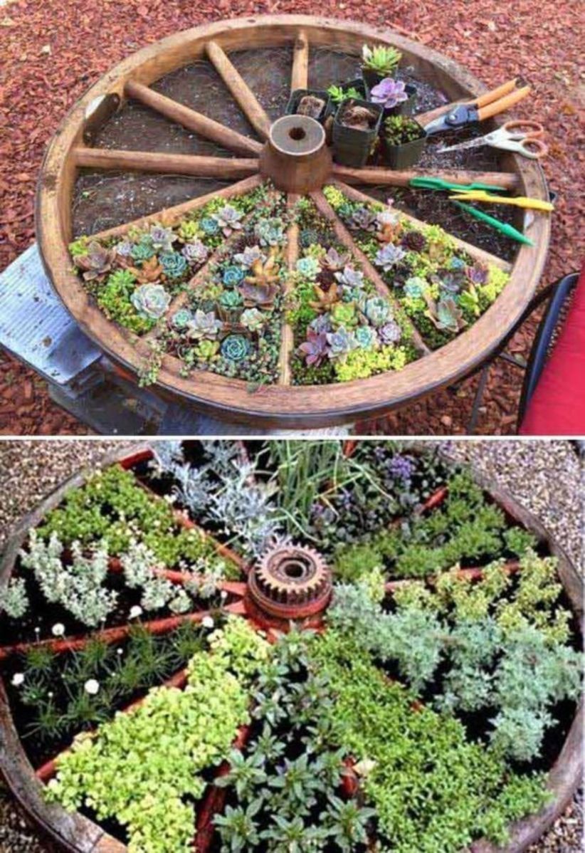 garden ideas with flowers