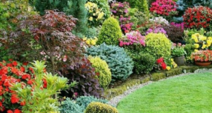 landscape design ideas