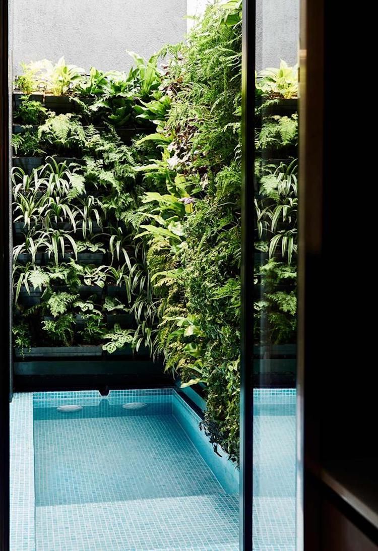 Making a Splash: Pool Options for Compact Outdoor Spaces