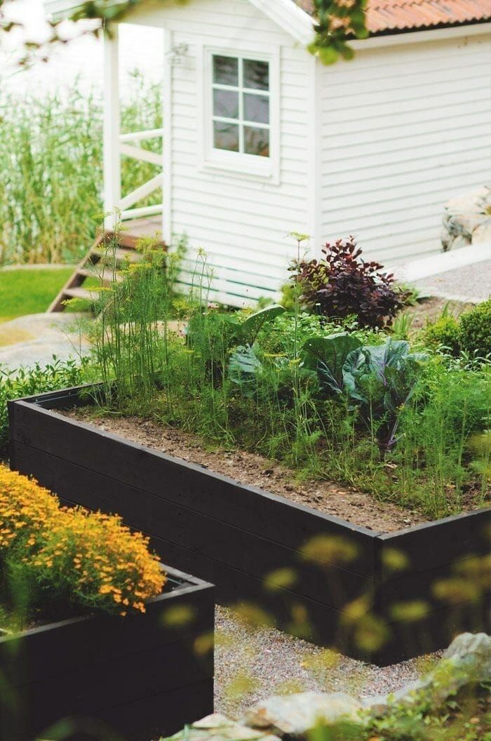 Maximizing Garden Space: Raised Beds along the Fence