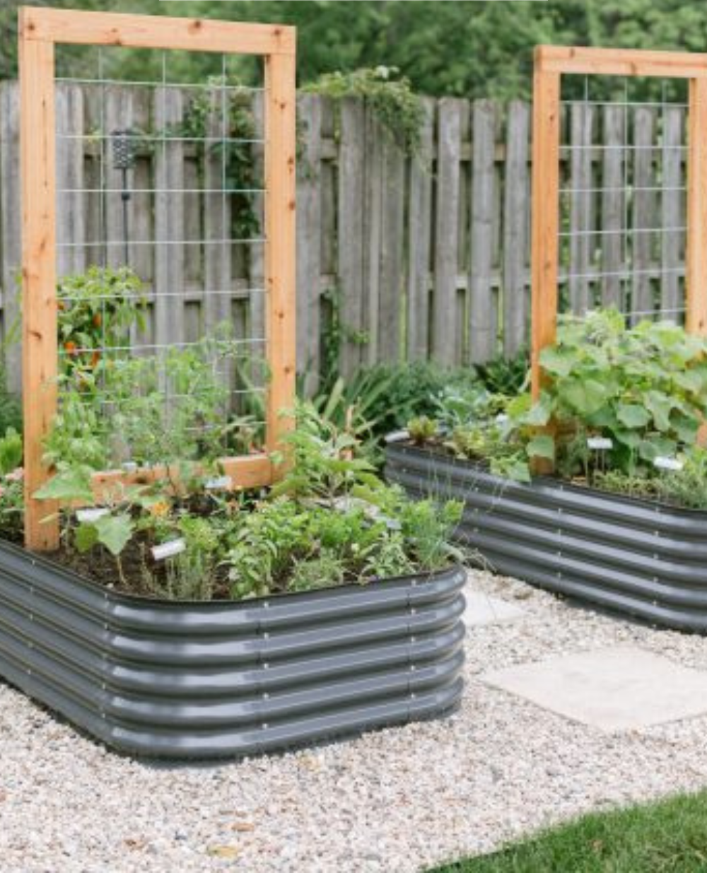 Maximizing Garden Space with Raised Beds