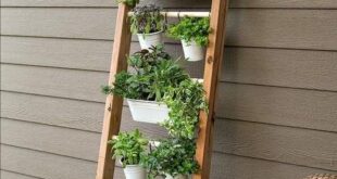 small space gardening