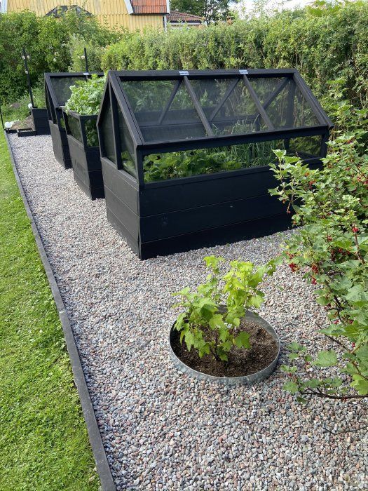 Maximizing Space with Tiny Green Sanctuaries in Garden Design