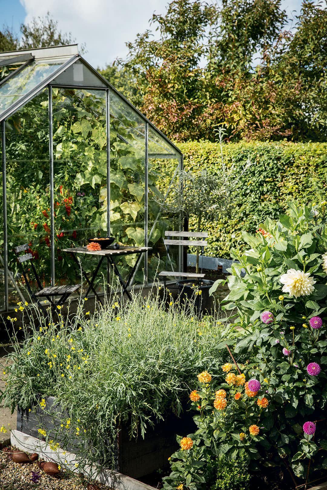 Maximizing Space with a Compact Garden Greenhouse