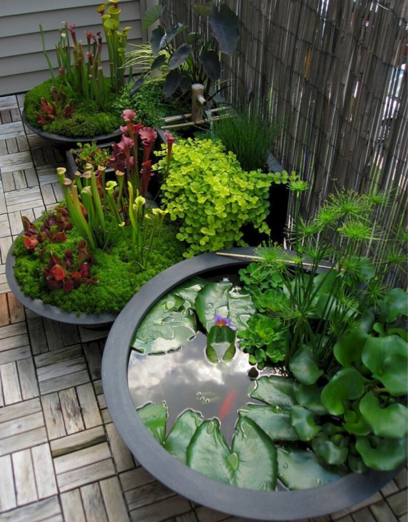 small garden space