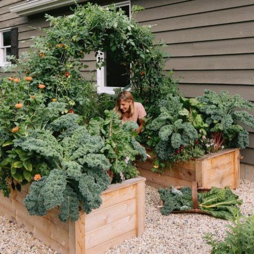 Maximizing limited space for gardening: A guide to small space gardening techniques