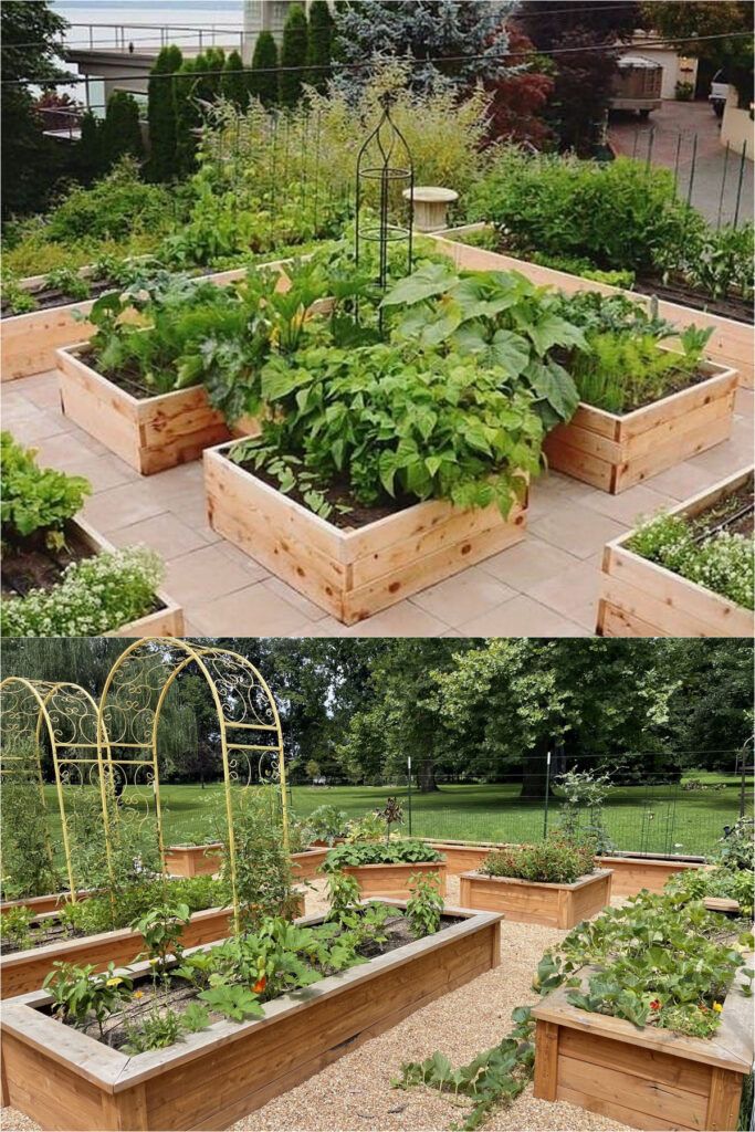 Optimizing Garden Space with Raised Beds Arrangement