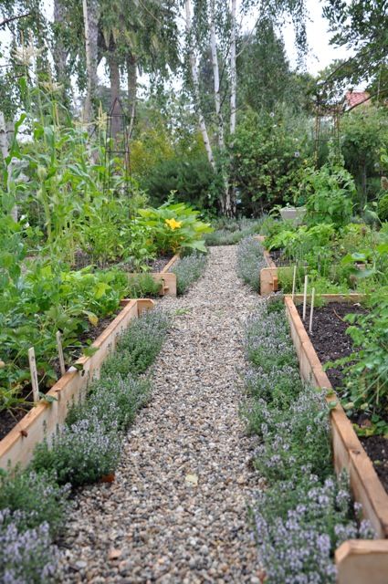 Optimizing Your Vegetable Garden Layout for Maximum Yield
