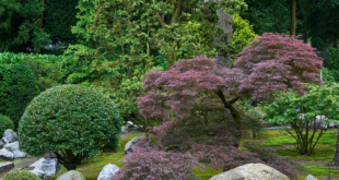 japanese garden design