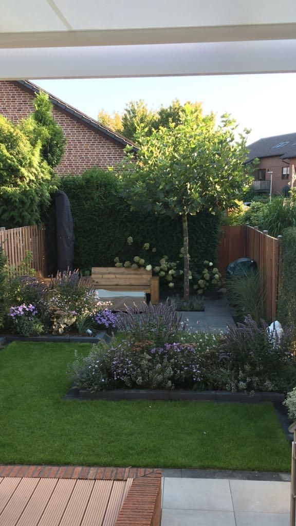 Pint-Sized Gardens: Making the Most of Limited Space