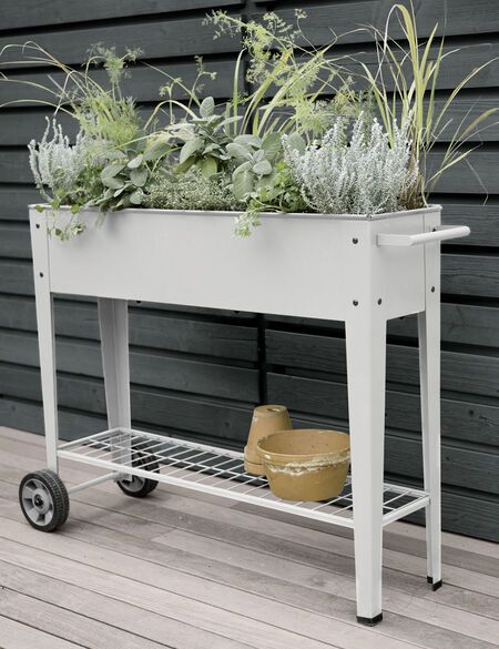 Portable Garden Containers: Bring Your Plants Anywhere!
