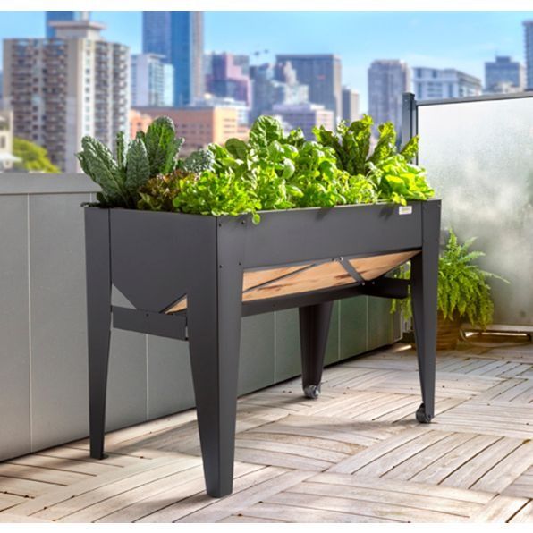 Portable Solution for Growing Plants: The Innovation of Mobile Garden Planters