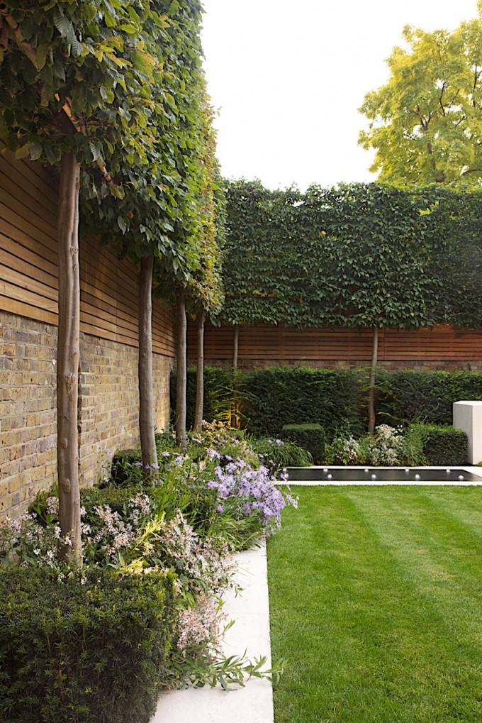 Revolutionizing the Art of Modern Garden Design