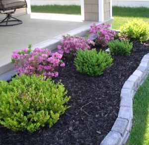 Simple Tips for Enhancing Your Outdoor Space with Easy Landscaping Ideas