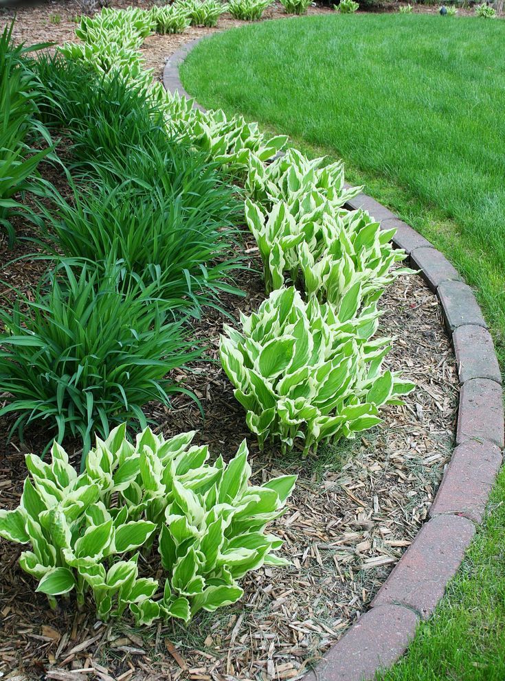 Simple Ways to Beautify Your Front Yard with Landscaping
