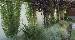 easy landscaping ideas